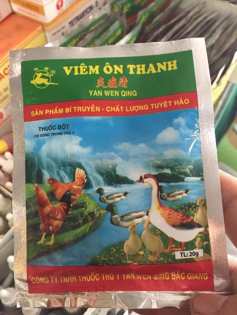 Dùng thuốc để cổ họng của gà được thông, tiếng gáy vang và rõ