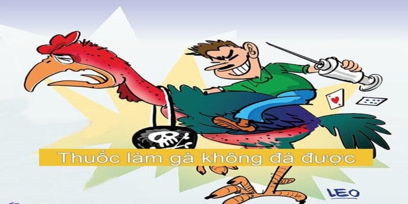 Tìm hiểu về thuốc làm gà không đá được
