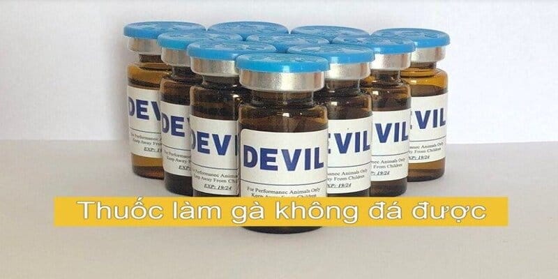 Thuốc mê là 1 trong những loại thuốc làm gà không đá được
