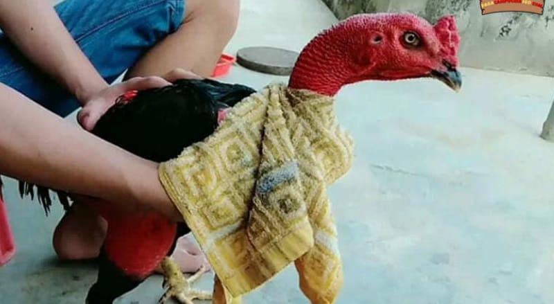Tập trung khâu vệ sinh đảm bảo Tập trung khâu vệ sinh đảm bảo
